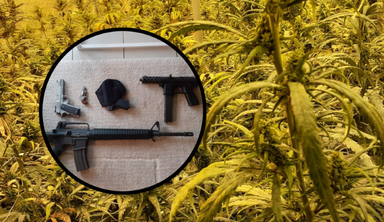 Kriminalisté rozbili gang dealerů kokainu a konopí. Našli drogy, hotovost i zbraně