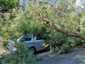 V Praze spadl strom na auto. Park je kvůli možným pádům dalších stromů uzavřen