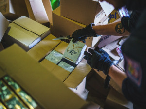 Pražští celníci odhalili padělky parfémů a herních konzolí za dvacet milionů korun