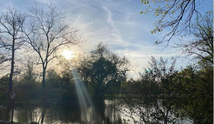 received_343173914179944