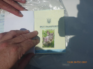 Muž v centru Prahy nabízel lidem fotku s ohroženou sovou pálenou. Případ řeší policie