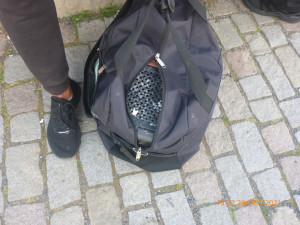 Muž v centru Prahy nabízel lidem fotku s ohroženou sovou pálenou. Případ řeší policie