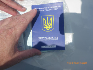 Muž v centru Prahy nabízel lidem fotku s ohroženou sovou pálenou. Případ řeší policie