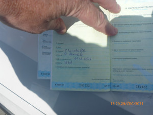 Muž v centru Prahy nabízel lidem fotku s ohroženou sovou pálenou. Případ řeší policie