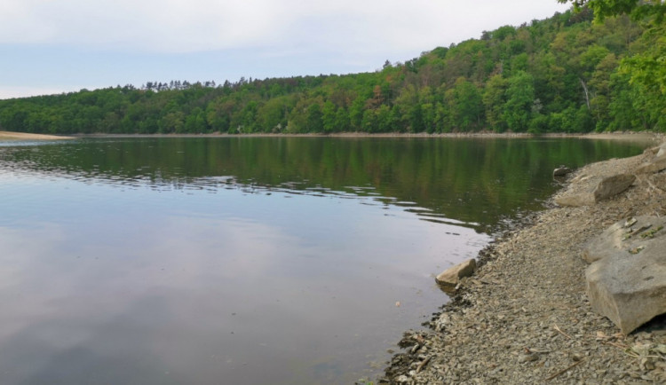 V koupališti Hostivař hygienici naměřili masový výskyt sinic. Zelená je i voda v nádrži Džbán