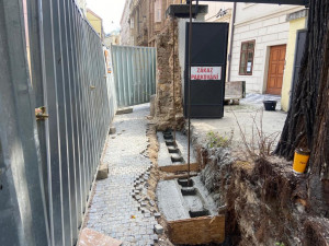 Praha obnovila narušenou zeď v centru města bez nutnosti pokácet jedinečný strom