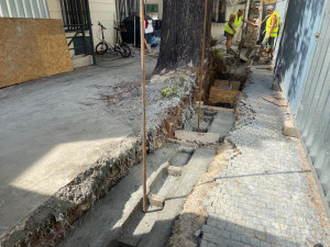 Praha obnovila narušenou zeď v centru města bez nutnosti pokácet jedinečný strom
