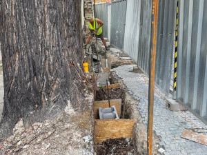 Praha obnovila narušenou zeď v centru města bez nutnosti pokácet jedinečný strom