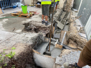 Praha obnovila narušenou zeď v centru města bez nutnosti pokácet jedinečný strom