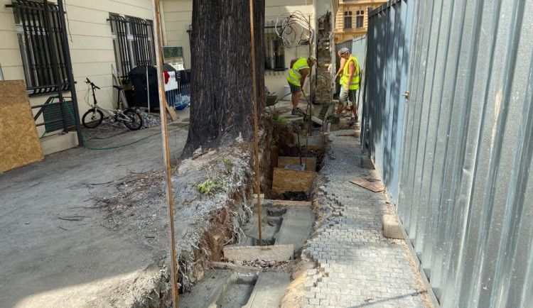 Praha obnovila narušenou zeď v centru města bez nutnosti pokácet jedinečný strom