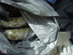Policisté našli v kufru auta ve Vysočanech téměř kilo a půl marihuany