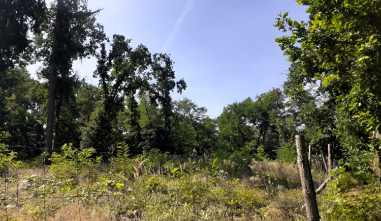 V rokli se nachází Libušská přehrada.