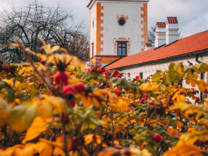 Podzimní pobyt na jihu Čech může znamenat dovolenou zdarma