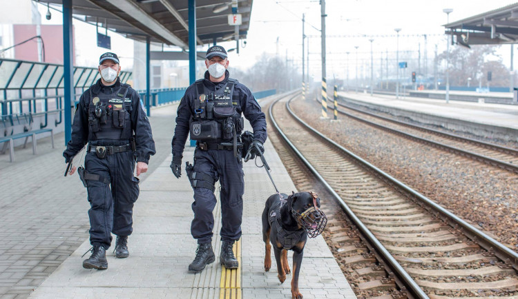 242113803_4446291015446604_5363541288499740886_n