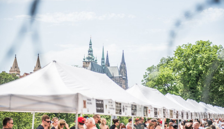 Michaela Szkanderova