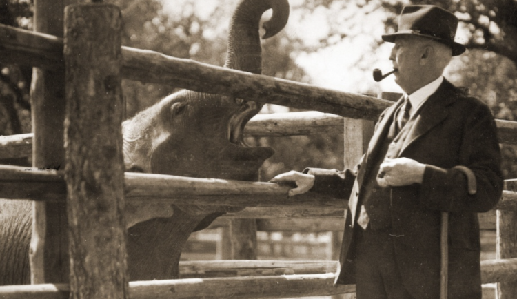 Před 90 lety se poprvé otevřela pražská zoo. Nabídne tematický program