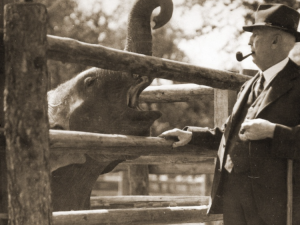 Před 90 lety se poprvé otevřela pražská zoo. Nabídne tematický program