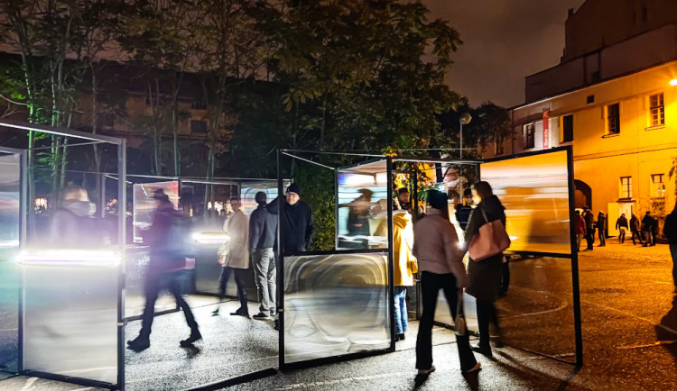 Živé stromy i socha z ledu. V Praze probíhá Signal Festival