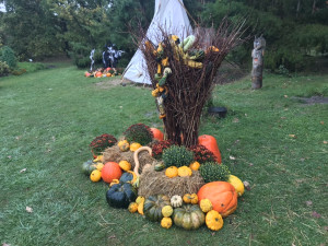 Největší česká dýně je v Praze. Lidé ji mohou vidět v rámci výstavy v botanické zahradě