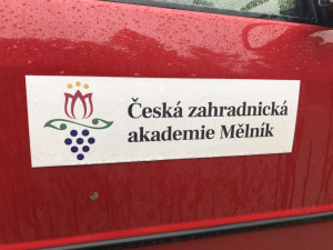 Největší česká dýně je v Praze. Lidé ji mohou vidět v rámci výstavy v botanické zahradě