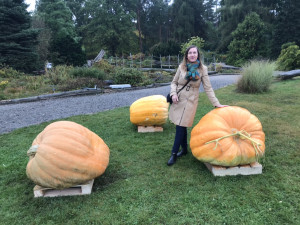 Největší česká dýně je v Praze. Lidé ji mohou vidět v rámci výstavy v botanické zahradě