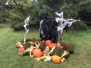 Největší česká dýně je v Praze. Lidé ji mohou vidět v rámci výstavy v botanické zahradě