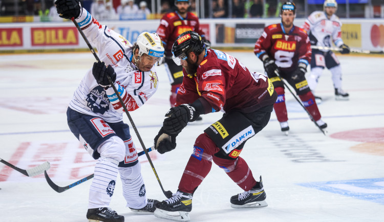 246488566_4897391093621927_4506723341915200060_n