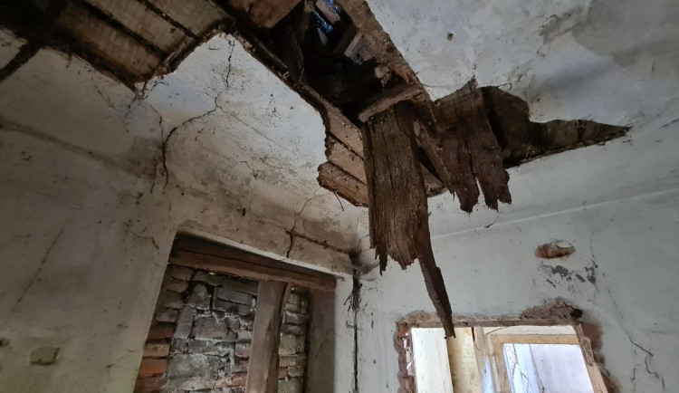 Soutěžní návrhy Cibulky vytvoří pět týmů. Vybrala je Nadace rodiny Vlčkových