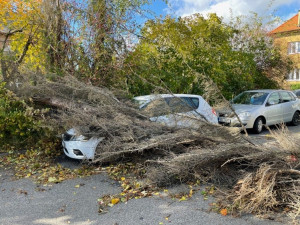 Silný vítr v Praze. Zlomené stromy, uzavřená botanická zahrada a zpoždění vlaků