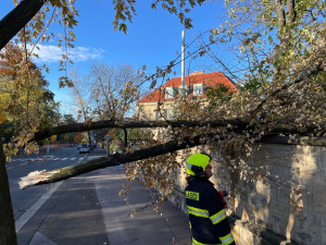 Silný vítr v Praze. Zranění lidé, zlomené stromy, uzavřená zoo a zpoždění vlaků