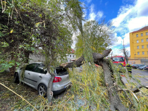 Silný vítr v Praze. Zranění lidé, zlomené stromy, uzavřená zoo a zpoždění vlaků