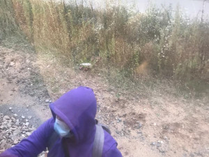 Partička sprejerů se sesypala na stojící vlak. Celou dobu je natáčel zaměstnanec drah