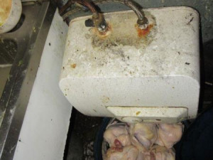 Neuvěřitelný nepořádek a všudypřítomný myší trus. Inspekce zavřela restauraci v Sapě