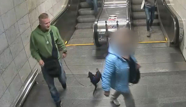 Zloději ukradli spícímu muži v metru psa. Ten byl o několik dní nalezen v zuboženém stavu