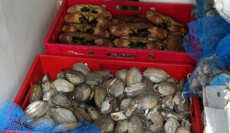 Tisíce kilogramů neoznačených potravin. Další prodejna v Sapě má problém.