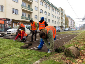 Praha je součástí vědeckého experimentu. Dopravní podnik testuje speciální travní koberce