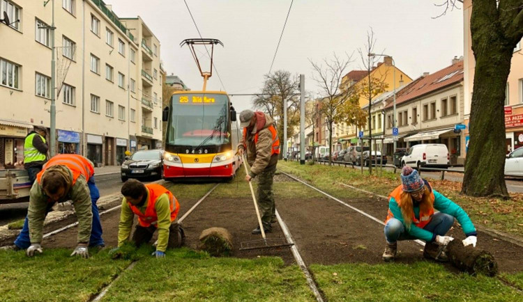 Praha je součástí vědeckého experimentu. Dopravní podnik testuje speciální travní koberce