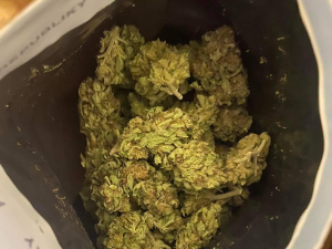 Slušný úlovek. Policisté zadrželi muže a kilem a půl marihuany