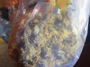 Slušný úlovek. Policisté zadrželi muže a kilem a půl marihuany