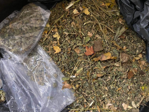 Slušný úlovek. Policisté zadrželi muže a kilem a půl marihuany