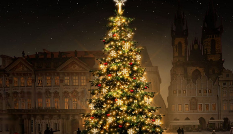 Takto bude vypadat letošní vánoční strom na Staroměstském náměstí. Přijede v pondělí