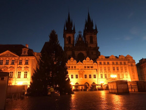 Vánoční strom pro Prahu už stojí na Staroměstském náměstí. Podívejte se