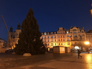 Vánoční strom pro Prahu už stojí na Staroměstském náměstí. Podívejte se