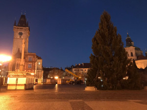 Vánoční strom pro Prahu už stojí na Staroměstském náměstí. Podívejte se