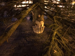 Vánoční strom pro Prahu už stojí na Staroměstském náměstí. Podívejte se