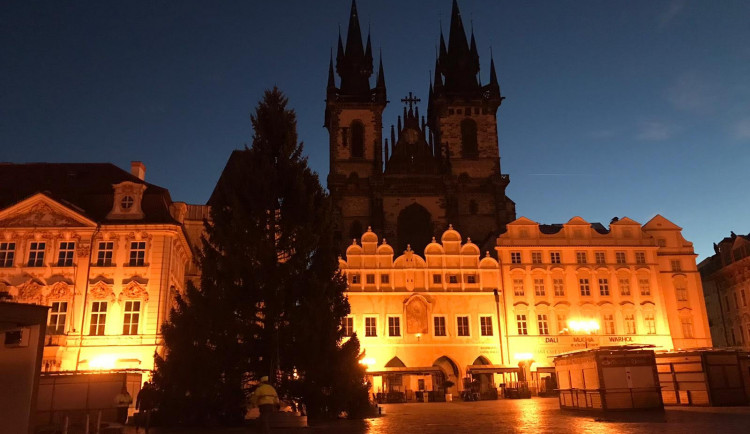 Vánoční strom pro Prahu už stojí na Staroměstském náměstí. Podívejte se
