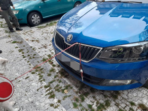 Pejskařka v nesnázích. Vodítko zasekunuté pod kapotou auta museli vyprostit strážníci
