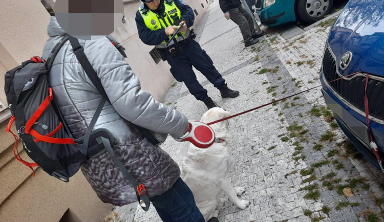 Pejskařka v nesnázích. Vodítko zasekunuté pod kapotou auta museli vyprostit strážníci.