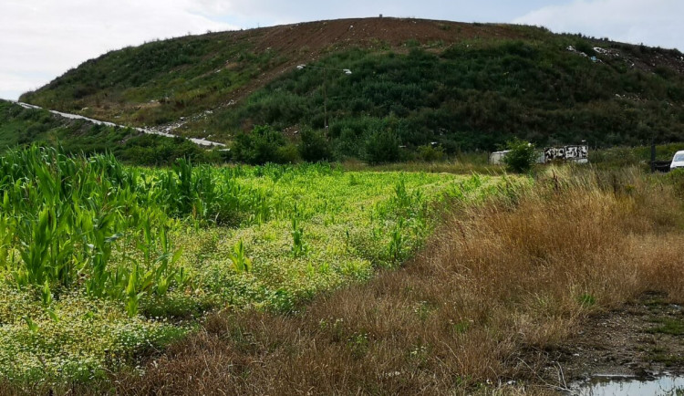Život vedle skládky, to jsou požáry, špinavá voda a boje o peníze, popisuje zastupitel Hořovic.