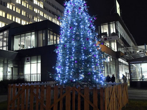 VÁNOCE NA ČTYŘCE: Bruslení na Chodově i Pankráci, vánoční workshop a křest jedle